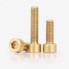 Copper Hex Socket Brass Bolt (M3-M10), Cup/Cylindrical Head Options, Various Lengths Available