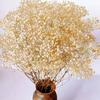 80G 43Cm Ivory White Gypsy Immortal Flower Home Party Decoration Wedding Diy Gift Gypsy