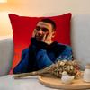 Cushion Cover  Linen  SkinFriendly Soft Decorative Case For Sofa Home Decor Hot Chill Singer LLauv Pillow cover