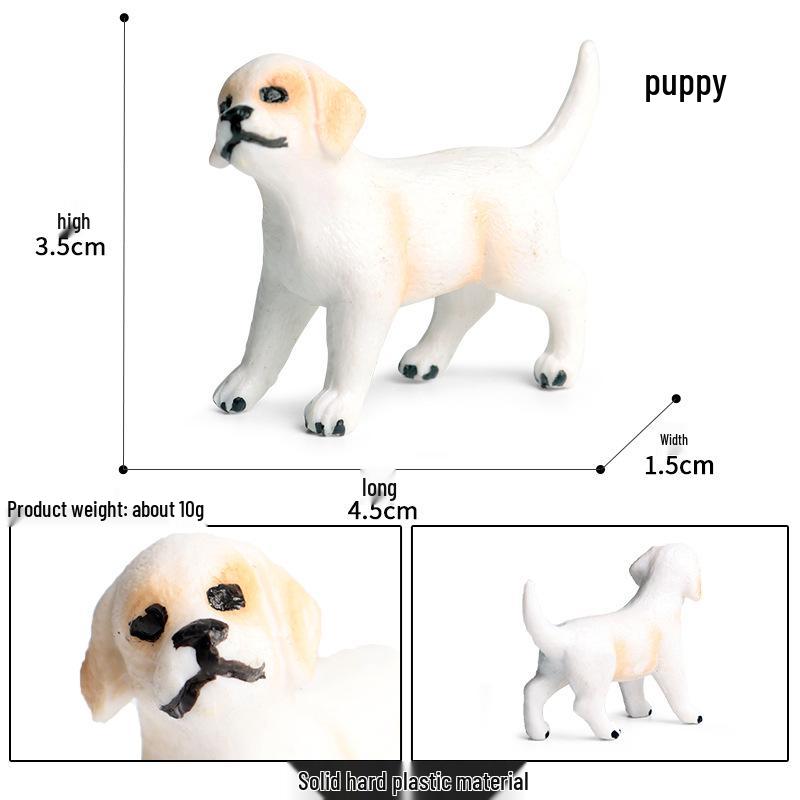 Cute Animal Models: Japanese Raccoon, Flying Squirrel, Monkey, Rabbit, Squirrel, Shiba Inu, Tiger, Lion, Lizard Toy Set