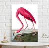 Винтажный постер с розовым фламинго