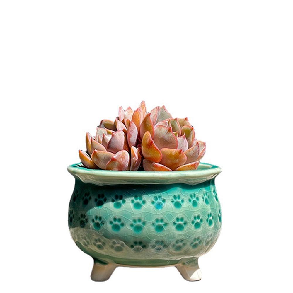 Breathable Pottery Basin Creative Meat Flower Pot Cat Claw Ceramics Draining Hole Flower Decorative Ceramic Flowerpot Flowerpot