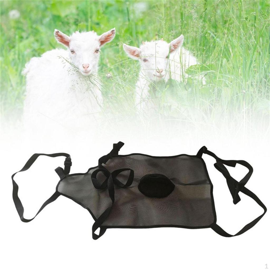 Livestock Protective Cover for Abdomen - Durable And Easy To Use