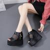 9cm Height Increasing Rhinestone Hollow-out Closed Toe Sandals Female Summer New Platform Platform Platform Platform Platform Platform Sports