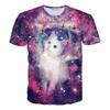 3D Printed Meow Star Cat Hip Hop Cartoon T-Shirt Summer Top