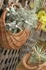 POSH LIVING Wicker Basket C 11547