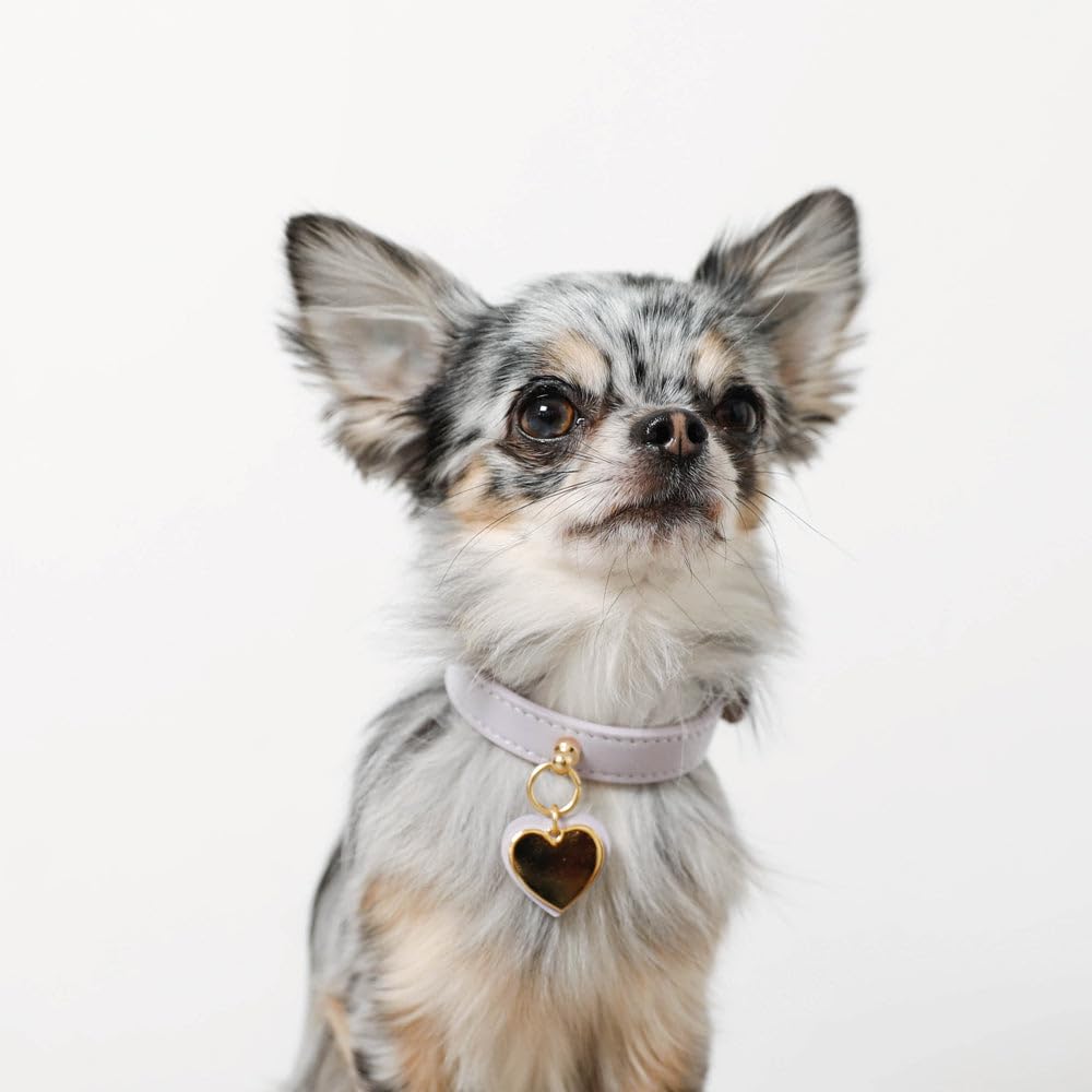 Charm Leather Dog Small Medium Dogs Genuine Cow Adjustable Going Out Monchéri [Heart Collar] Collar, Dogs, (М/Слоновая кость), Кожа, Легкий, Размер,