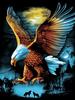 DIY Diamond Painting Eagle Diamond Embroidery Cartoon Diamond Cross Stitch Picture