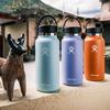 Wide Mouth 32oz 946ml Fur Stainless Steel Water Bottle (Official Japanese Product)