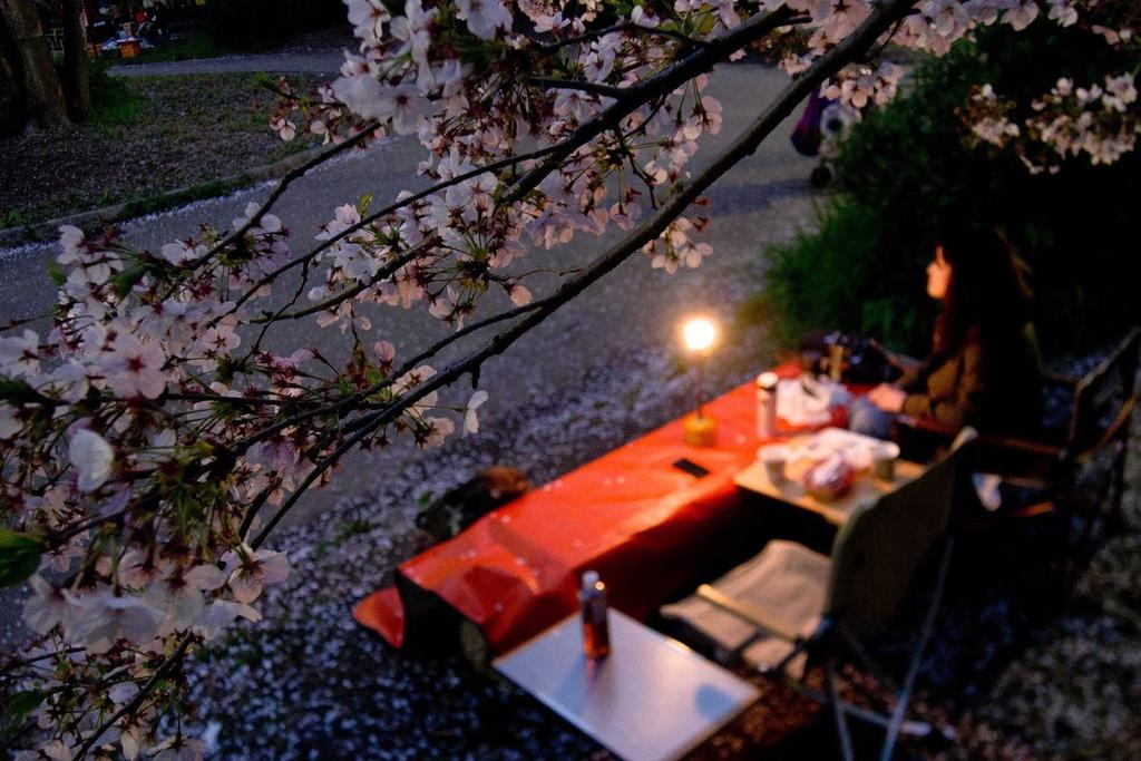 CAMPING MOON Газовая лампа Удлинительная штанга Удлинительная штанга для лампы Pro. Z26
