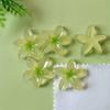 100PCS 29*30mm Five Petal Series Miniature Flat Back Resin Cabochons for Hairpin Scrapbooking DIY Home Decor Craft Accessories