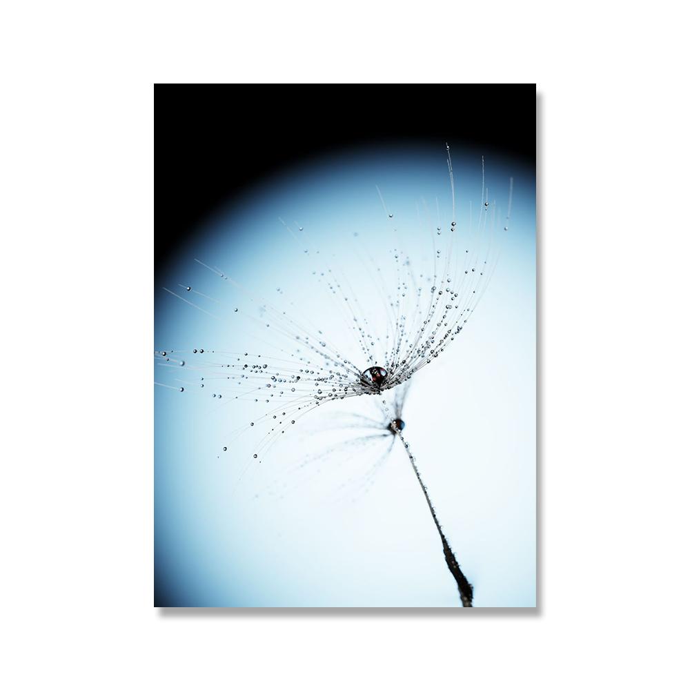 Серо-голубое растение Одуванчик Суккулент Картина на холсте Скандинавский пейзаж Фотография Постер Современный домашний декор Гостиная Спальня