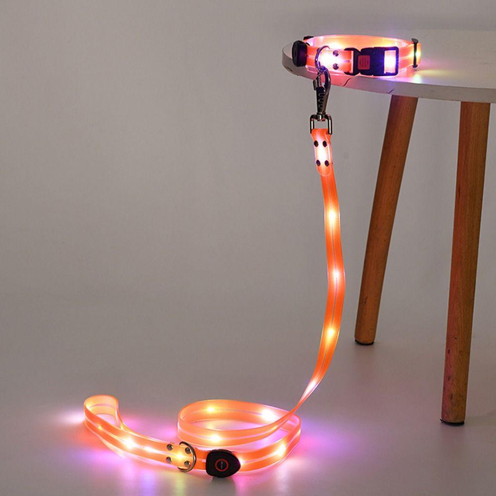 Водонепроницаемый ошейник для собаки с поводком, перезаряжаемый светящийся ошейник для собаки, ошейник на шею для собаки для ночных прогулок