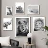 Black White Lion Elephant Horse Wall Art Canvas Painting Tropical Animals Posters And Prints Wall Pictures For Living Room Decor