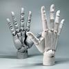 Simulation Hand Joint Finger Manikin Hand Articulated Hand For Displaying Hand Model  Art Painting