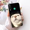 Clear Cover For Huawei Y7p 2020 Case Cute Cat Fashion Butterfly Funny Painted Casing ART-L29 ART-L28