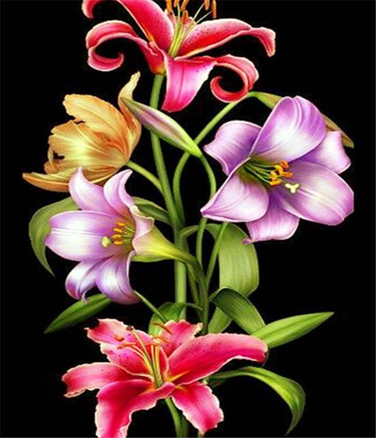 RUOPOTY DIY Frame Oil Painting By Numbers Daisy Flower Acrylic Home Decor On Canvas Wall Art Picture Rose For Living Room