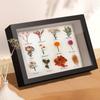 Shadow Box Frame Dried Flower Display Case Decorative Shadowbox Memory for Medals Wedding