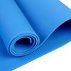 Light Weight Tasteless Non-Slip Pilates Exercise Fitness Mats Sport Pads Yoga Mat