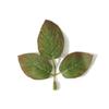 30/50Pcs Silk Rose Artificial Leaves Home Room Decor for Wedding Decoration Bride Wrist Flowers Artificial Plants DIY Gift Box