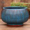 Yixing Handmade Coarse Pottery Medium Succulent Planter - Breathable Zisha Ceramic Ebony Tree Pot for Green Plants