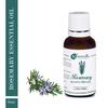 Naturalis Essence of Nature Rosemary Essential Oil for Skin, Muscle & Joints, Anti-Dandruff, Hair Conditioner, Pure & Natural Therapeutic Grade - 30ml