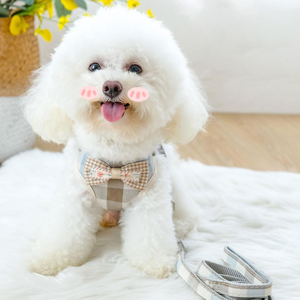 DICOCO Dog Harness for Small Reduces Adjustable Stays in Easy to Put on and Take Cute Bowknot Triple Machine Dolly M Dogs, Anti-Pulling, Head-Free,