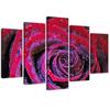 Five Piece Picture Canvas Print Rose Blossom Red