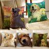 Labrador Retriever Pillow Friendly Dog Plush Cushion Cushion Cover Pillowcase Anti-Dustmite Living Room Sofa Decor Cushion Room