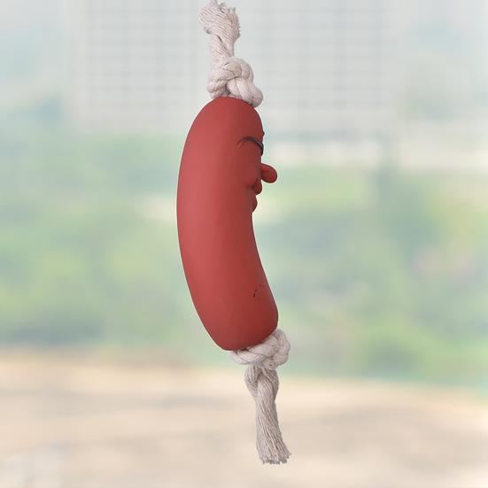 Игрушки для жевания собак Устойчивые к укусам и разрывам Зубы Чистая колбаса Интерактивные игрушки для жевания собак для собак