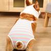 Breathable Female Dog Underwear Adjustable Straps Pet Safety Trousers  Outdoor Walk