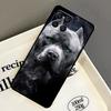 Pit Bull Lovely Dog Pitbull Case For Samsung Galaxy M21 M31 M14 M34 M54 M33 M16 M36 M56 M53 M13 M12 M32 M52 M15 M55 M35