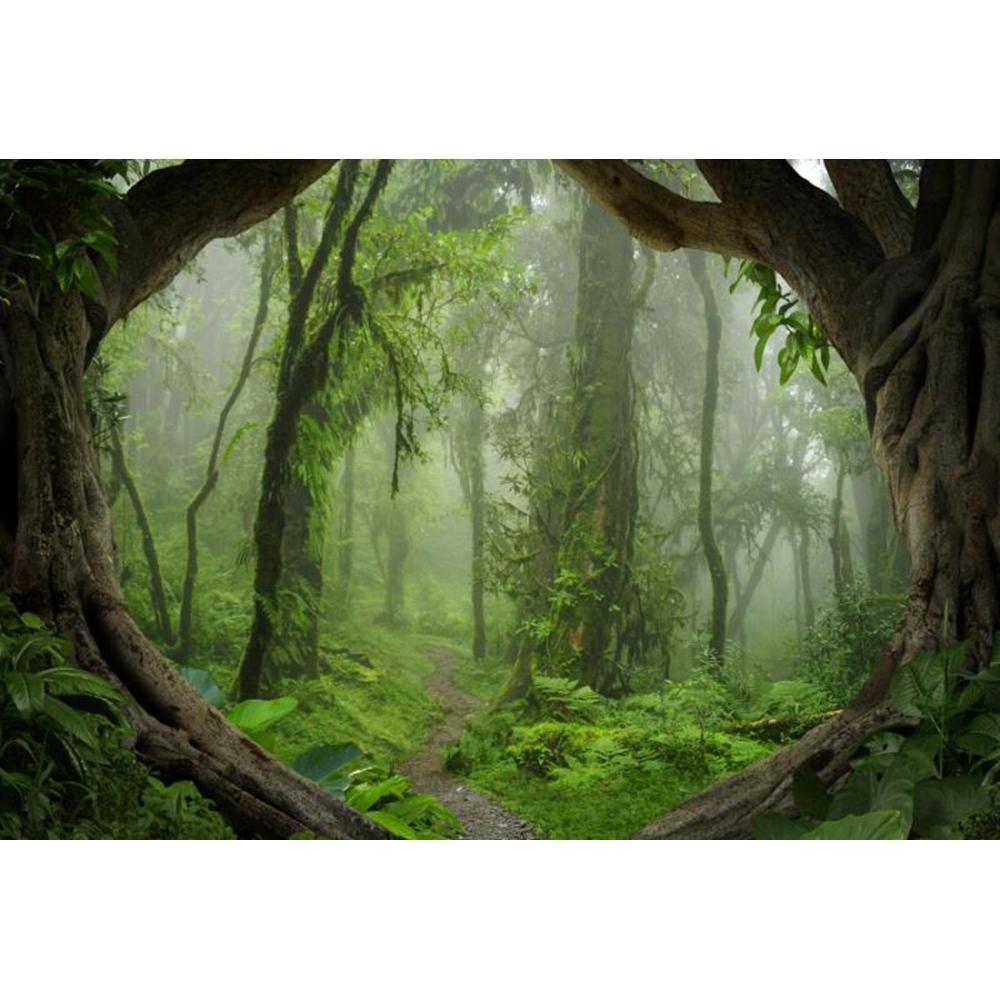 Spring Forest Backdrop Tropical Jungle Rainforest Backdrops for Photography Camping Adventure Birthday Background Photo Studio