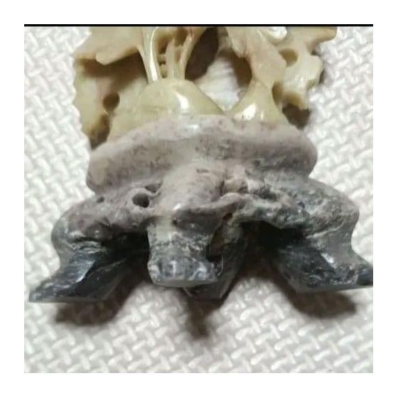 Used Chinese Art Shoushan Stone Soapstone Precision Openwork Carving Flower Bird Sculpture Ornament