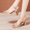 Ankle Strap Square High Heels Women Summer  Roman Sliver Gold Sandals Large Size Thick Platform Shoes For Female A0027