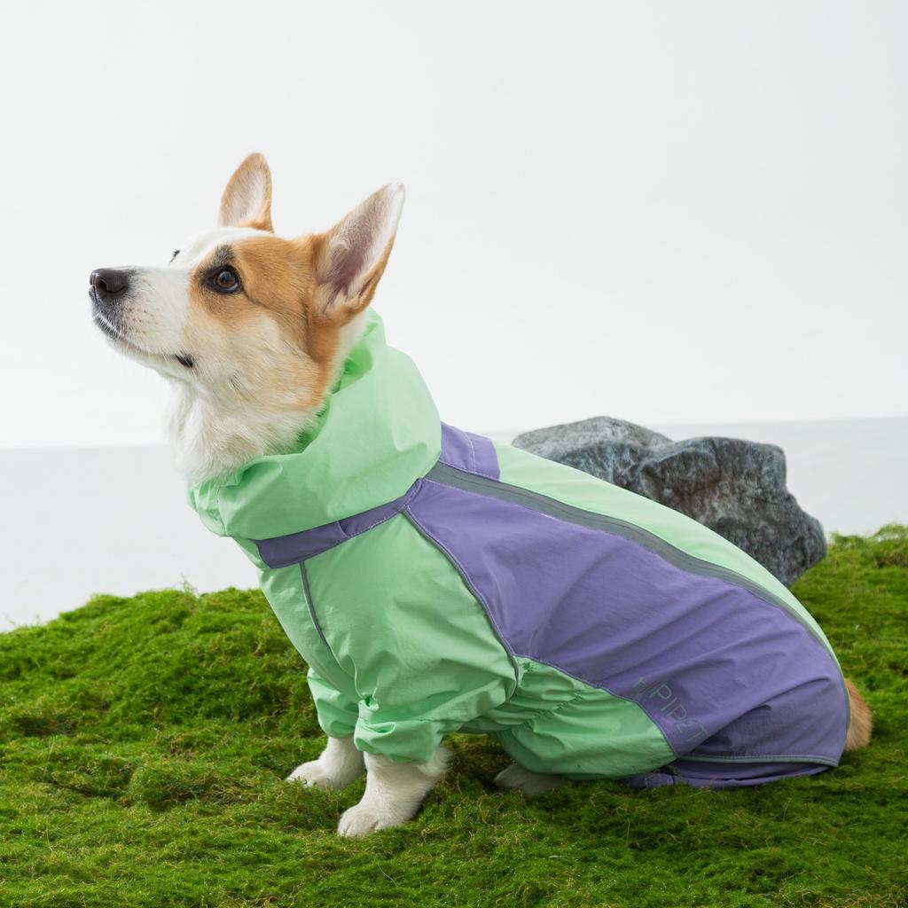 Новая одежда для домашних питомцев, маленьких и средних собак, которую можно носить в любое время года, водонепроницаемая, дождестойкая и влагозащищенная одежда для прогулок в дождливую погоду