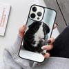 Hamster Guinea Pig Mobile Phone Cases Cover For iPhone 17 Air 16e 15 14 12 13 11 Pro MAX apple Plus Coque