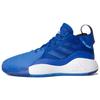 D Rose 773 2020 'Синий' FX7121