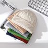 Winter Hat Warm Knitted Thick Cap for Women Sheep Wool Twist Hat Cashmere Handle Jacquard Hat