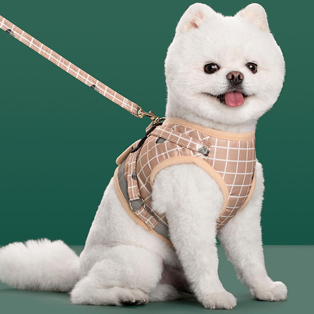 Нейлоновая сетка Светоотражающий щенок Собаки и набор поводков Собачий жилет Поводки Одежда для питомцев для маленьких собак