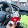 Stuffed Animal Plush Key Ring Cute Pilot Panda Plush Key Ring Panda Keychain  Women Girls