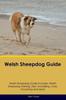 Книга Welsh Sheepdog Guide Welsh Sheepdog Guide Includes : Welsh Sheepdog Training, Diet, Socializing, Care, Grooming, Breeding and More