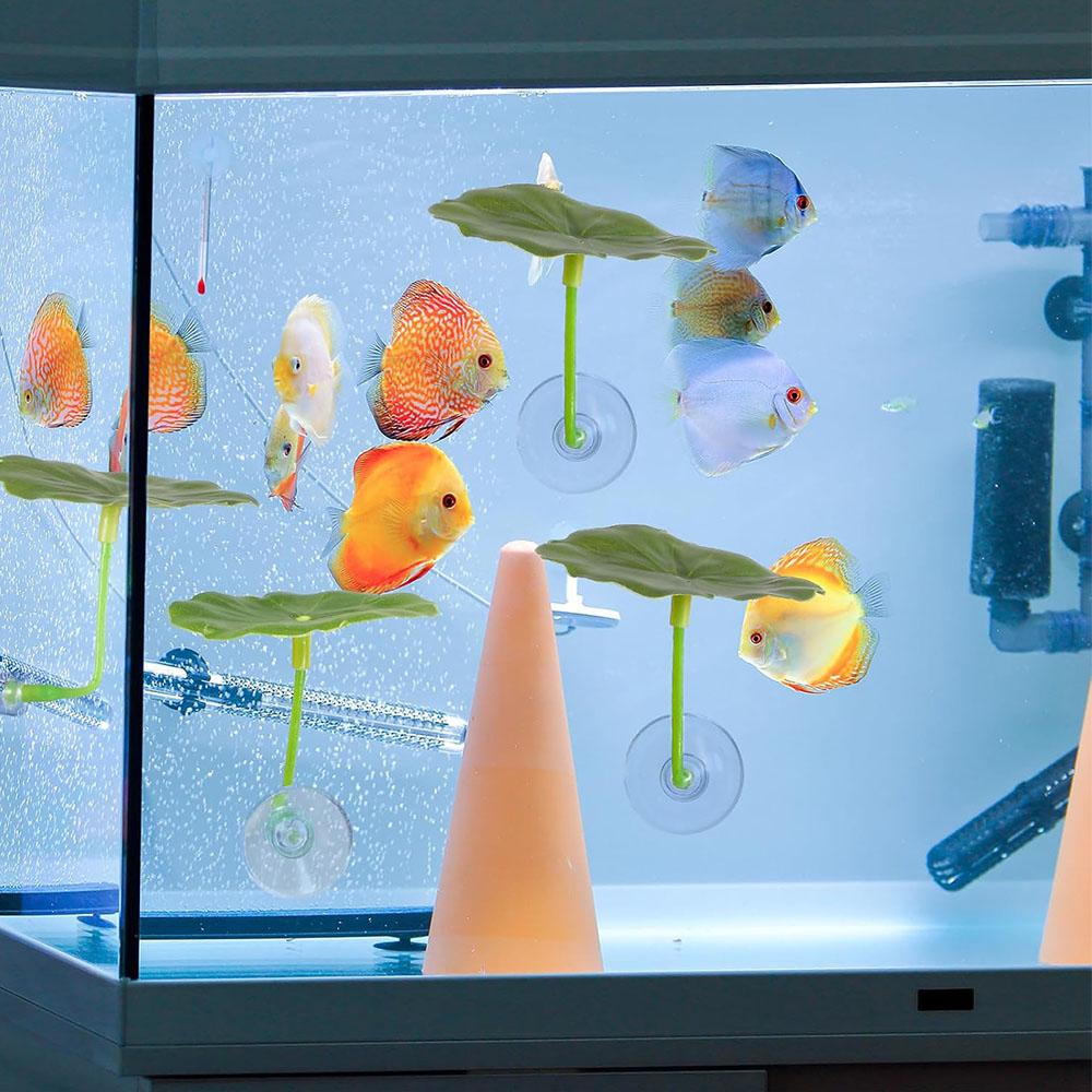 3pcs Betta Fish Leaf for Sleeping, Resting, Hiding, Playing