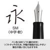 PILOT Fountain Pen Custom Heritage 912 Soft Medium SM Black FKVH2MRBSM