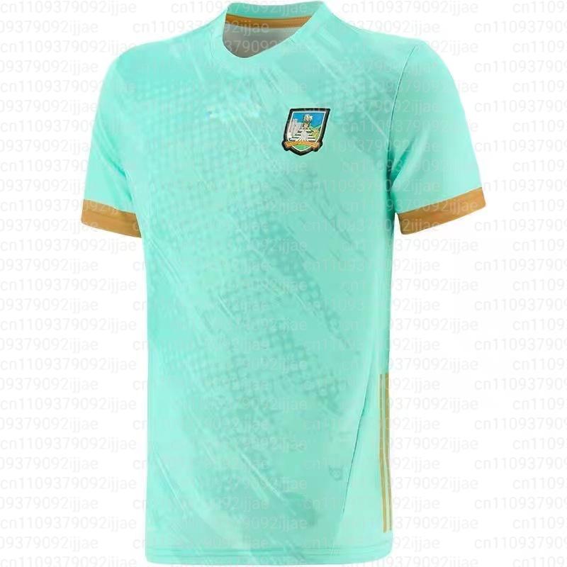 Летняя одежда для регби 2025-2026 3D-печать Дышащая Быстросохнущая Летняя тренировочная майка для родителей и детей Тонкая футбольная рубашка