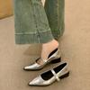 Design Sense Niche Silver Pointed Mary Jane Shoes Women's Spring and Autumn 2025 New Models with Skirts Late Evening Wind Single Shoes Women