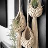 1 Pcs Hand-woven Bohemian Tapestry Net Air Plant Basket for Home Plant Decoration, Holiday Gift