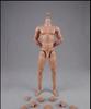 Toy Hobby Action Figure COOMODEL COO Male Body Action Body Muscular Body [TOYBARJAPAN] 1/6 BD001/02/03/04/07/08/09/10 (Tall BD004)
