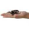 Takara Tomy AniA World Insect Battle Set Toys for Animals and Dinosaurs 3 Years Old and Up