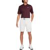 Nike Мужские шорты для гольфа Chino Tour 8' FD5721-072